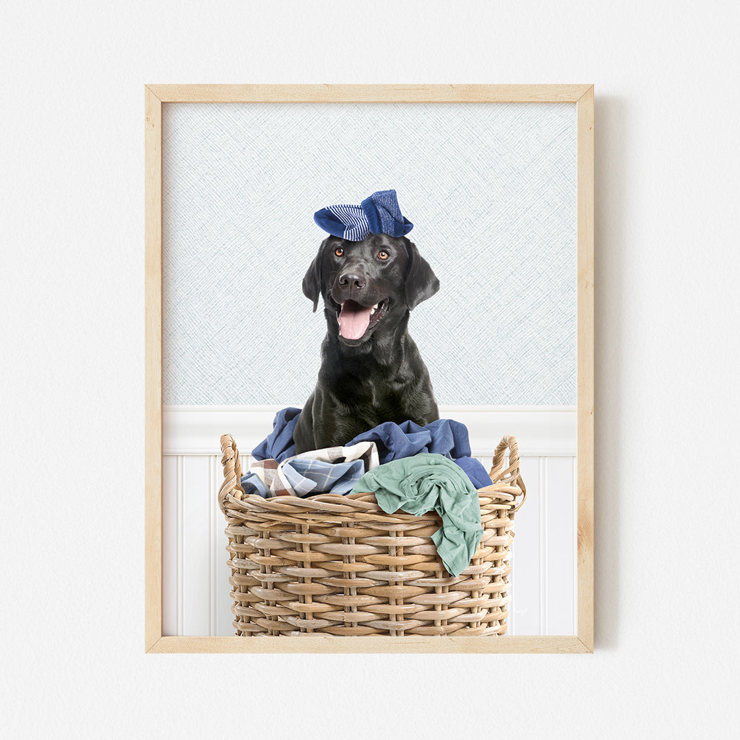 a black dog sitting in a basket with clothes