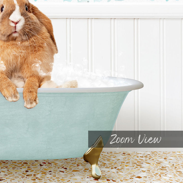 A brown rabbit sitting in a light blue bathtub filled with bubbles, with a text overlay that reads "Zoom View".