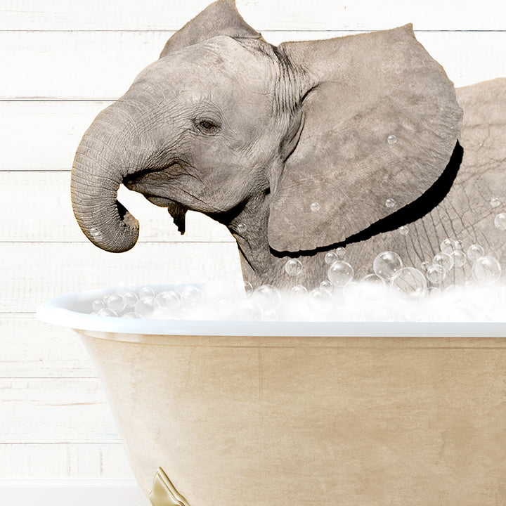 an elephant taking a bath in a bathtub