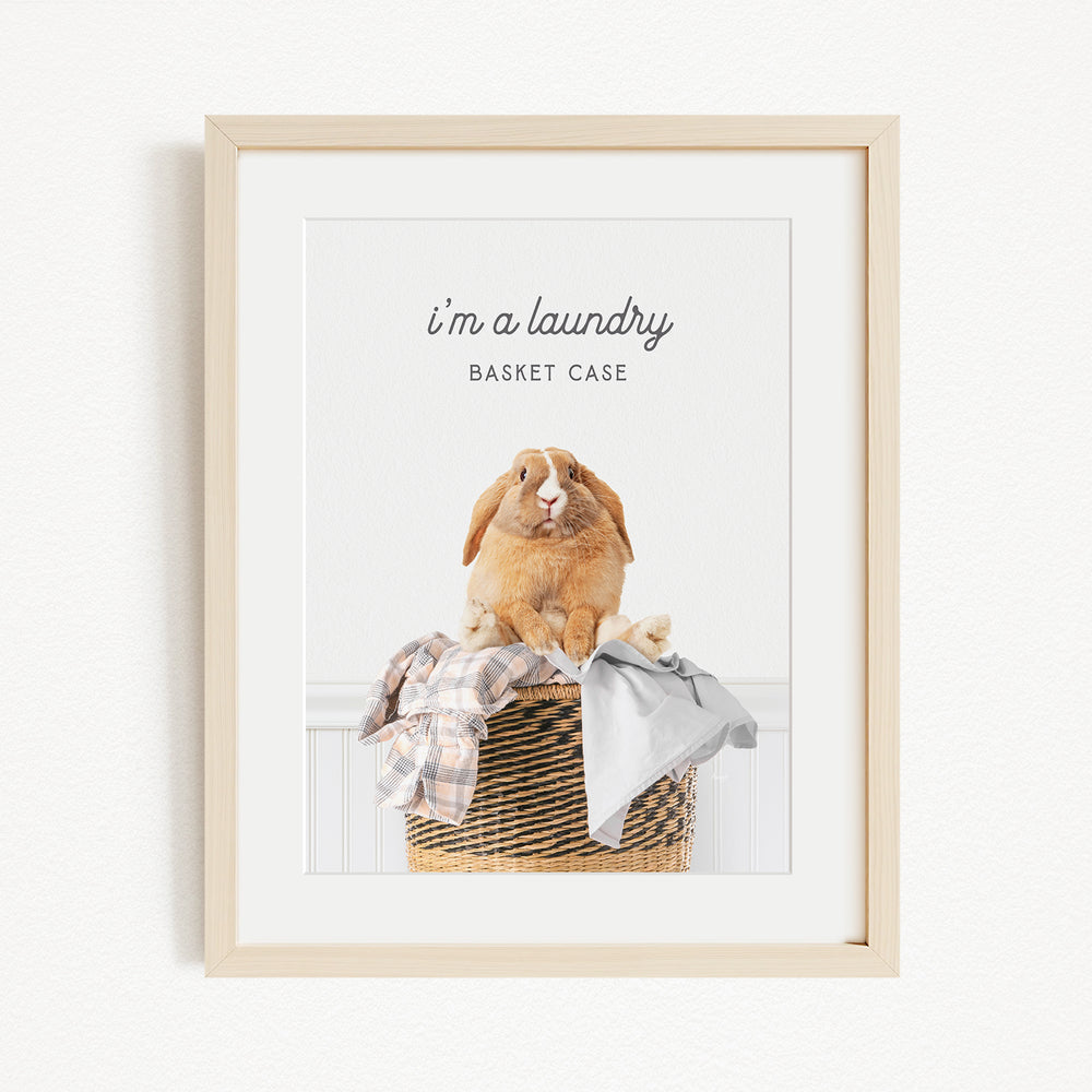 A framed image of a rabbit sitting in a basket filled with clothes, accompanied by the text "I'm a laundry Basket Case".