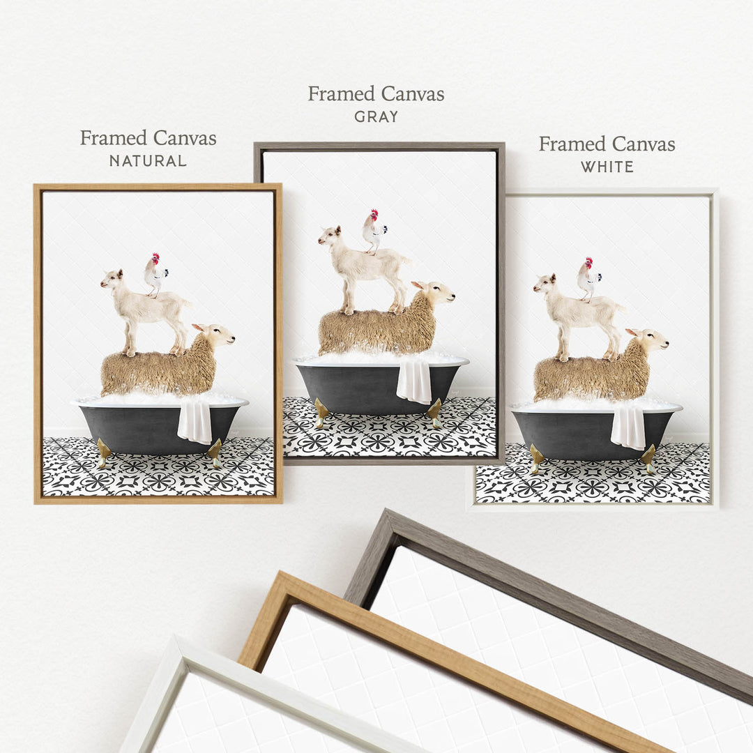 three framed pictures of sheep and chickens in bathtubs, each with a different color frame.
