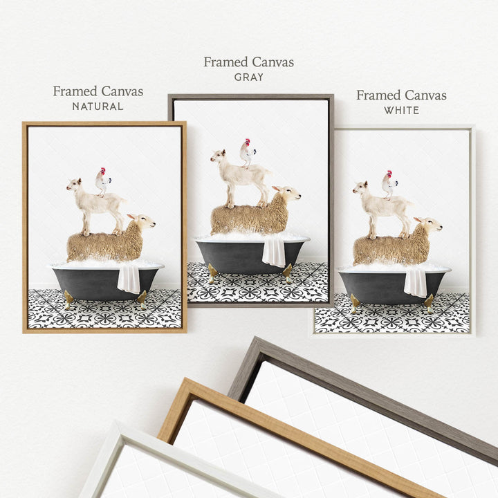 three framed pictures of sheep and chickens in bathtubs, each with a different color frame.