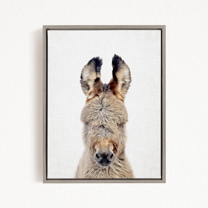 A close-up portrait of a donkey with its head turned to the side, showing its long, fluffy fur and large ears.