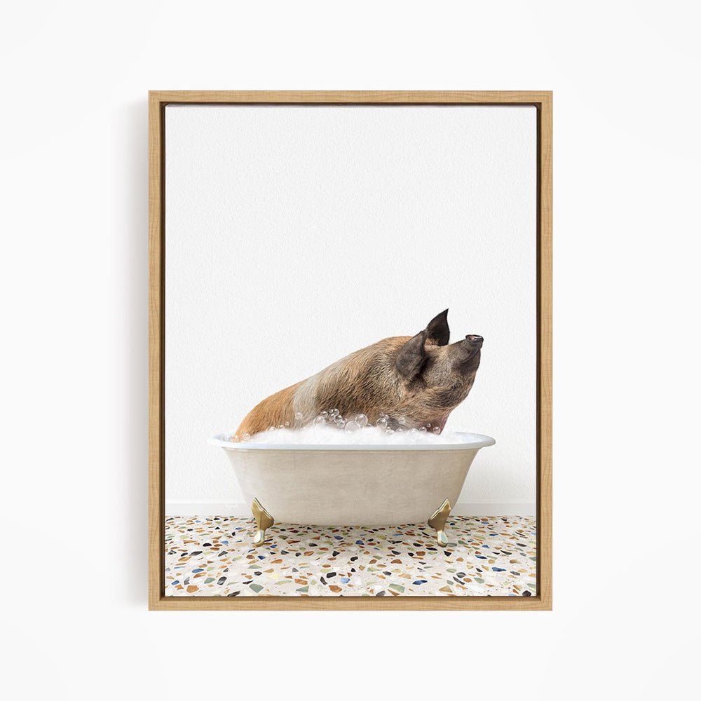 A brown pig sitting in a white bathtub filled with water, looking up at the camera.