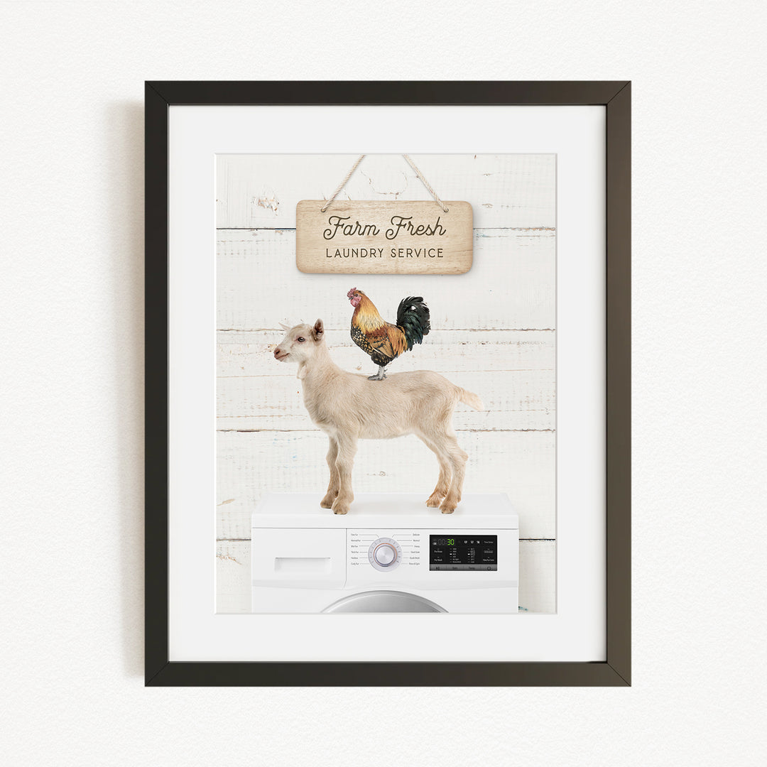 a white washing machine with a rooster perched on top of it, and a sign that reads "Farm Fresh Laundry Service" hanging above the machine.