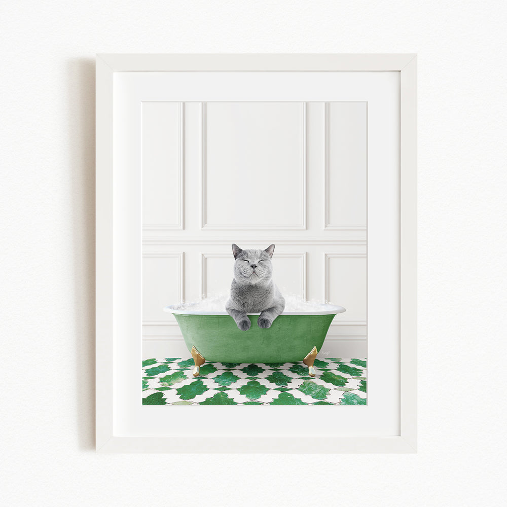 A gray cat sitting in a green bathtub filled with bubbles, with a patterned green and white rug on the floor.