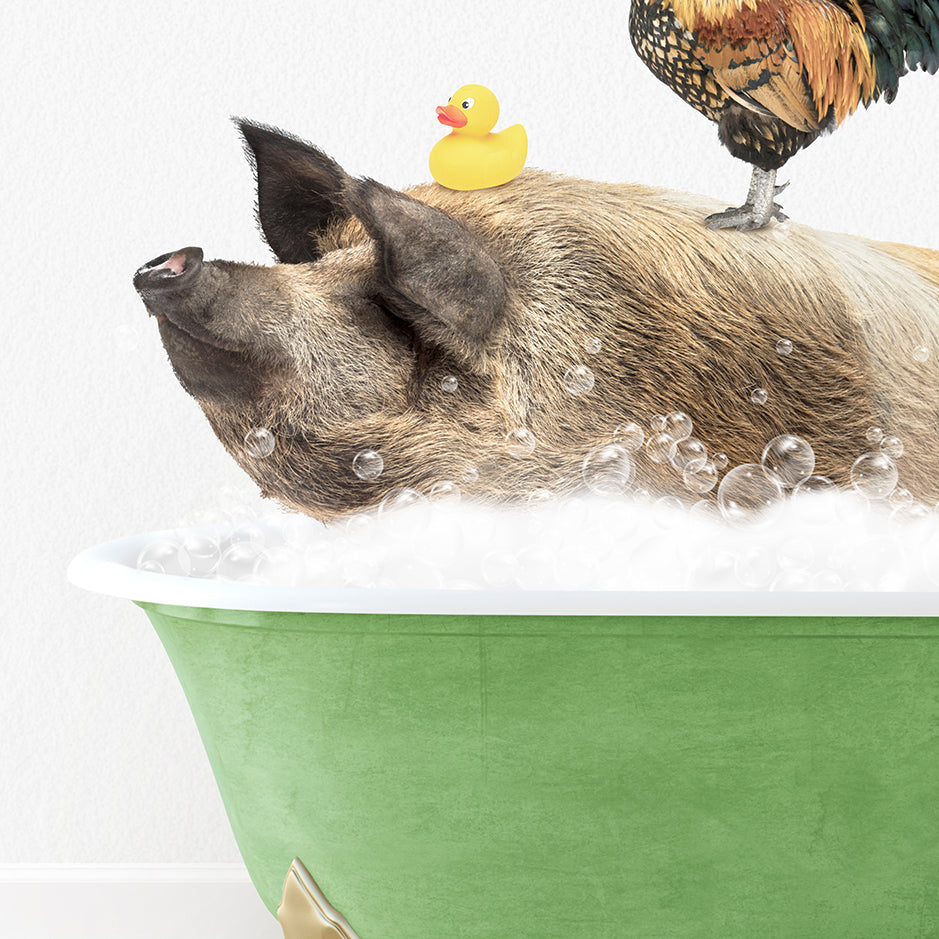 a pig in a bathtub with a rubber duck on top of it