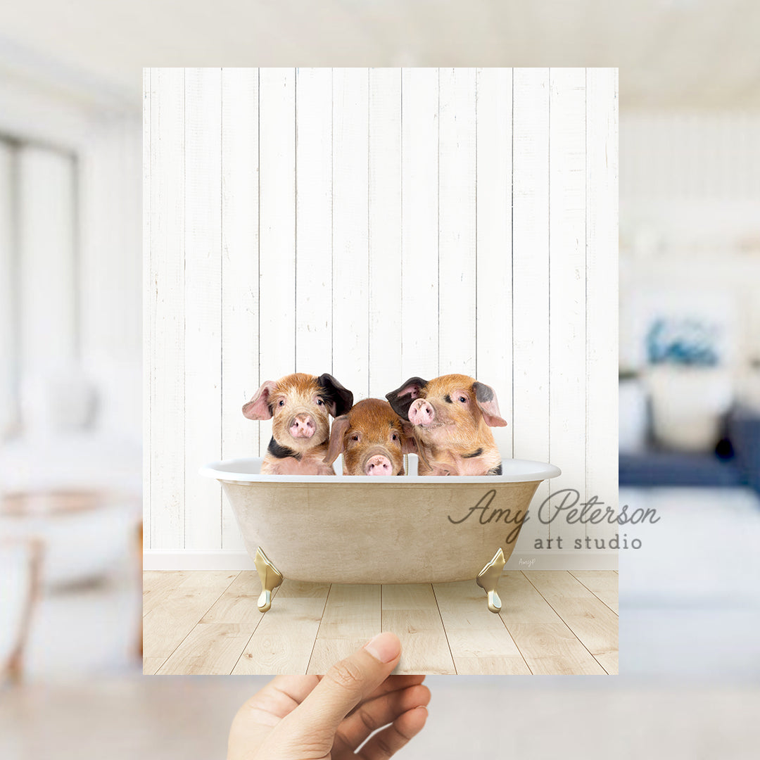 a hand holding a photo of three little pigs in a bathtub