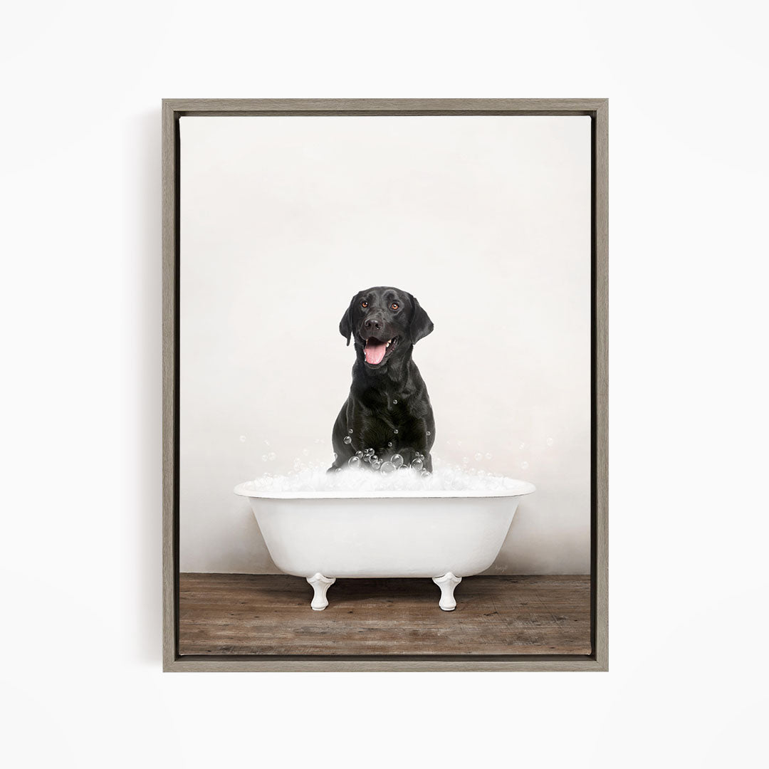 A black dog sitting in a white bathtub filled with bubbles, looking content and relaxed.