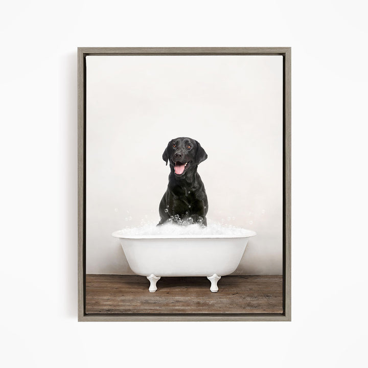 A black dog sitting in a white bathtub filled with bubbles, looking content and relaxed.