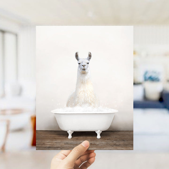 A white llama sitting in a white bathtub filled with bubbles, with a blurred background suggesting a bathroom setting.
