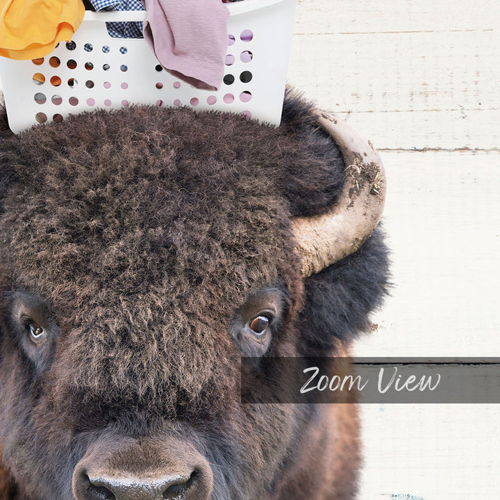 A close-up of a bison's head, with a laundry basket on top of its head and the word "Zoom View" written below the image.