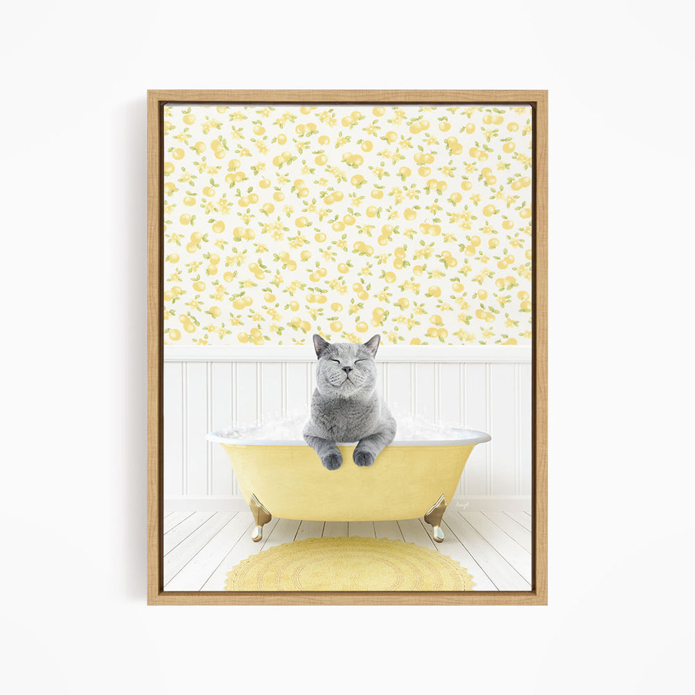 A gray cat sitting in a yellow bathtub, with a yellow floral wallpaper in the background.