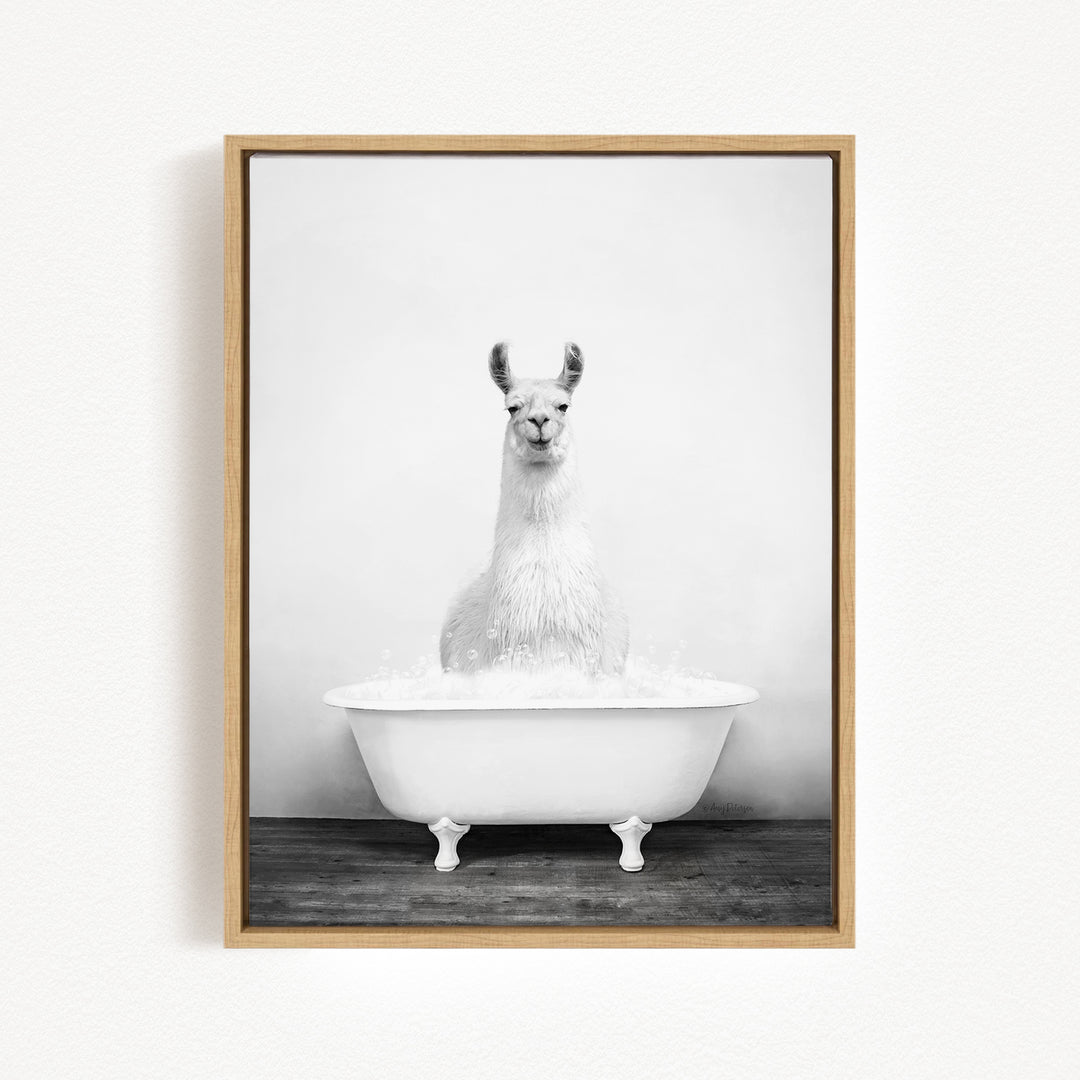 A white llama sitting in a white bathtub filled with water, creating a whimsical and playful scene.