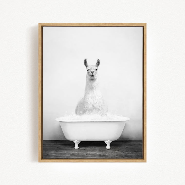 A white llama sitting in a white bathtub filled with water, creating a whimsical and playful scene.
