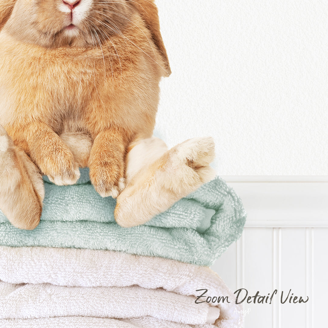 A fluffy orange rabbit sits atop a stack of light blue towels, with a white wall in the background.