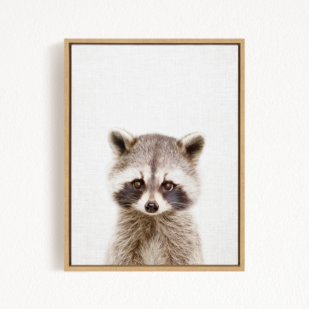 A raccoon with a curious expression is the focus of the framed artwork displayed on the wall.