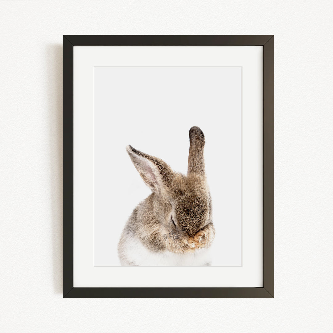 A framed photograph of a rabbit with its head gently resting on its paws, creating a serene and peaceful scene.