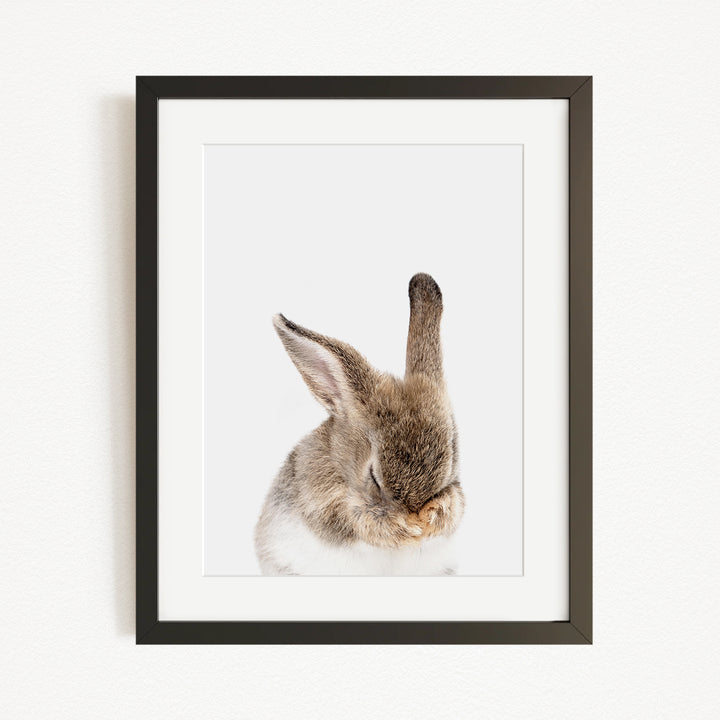 A framed photograph of a rabbit with its head gently resting on its paws, creating a serene and peaceful scene.