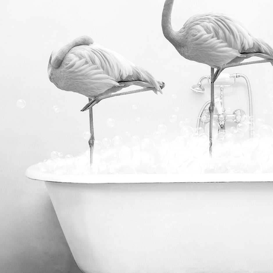 two flamingos standing on legs in a bathtub