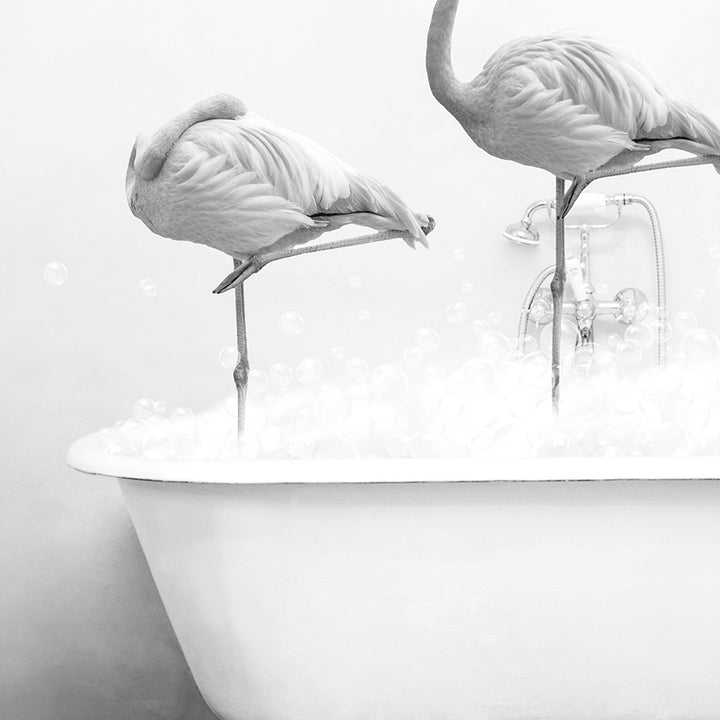 two flamingos standing on legs in a bathtub