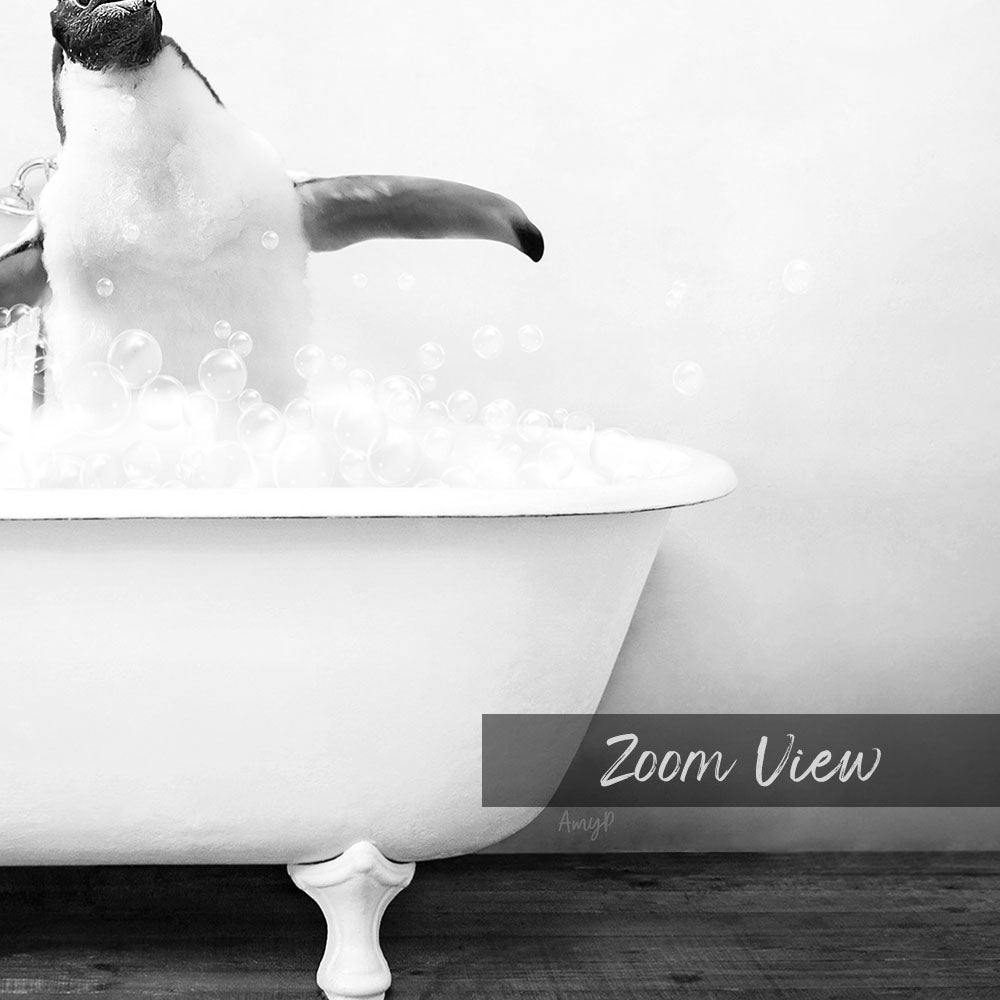 A penguin standing in a bathtub filled with bubbles, with the text "Zoom View" below the image.