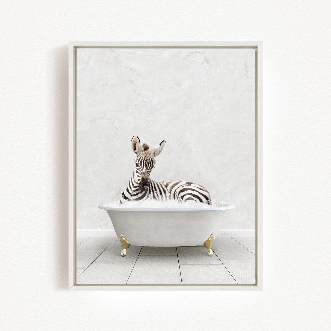 A zebra is sitting in a white bathtub against a white marble wall.