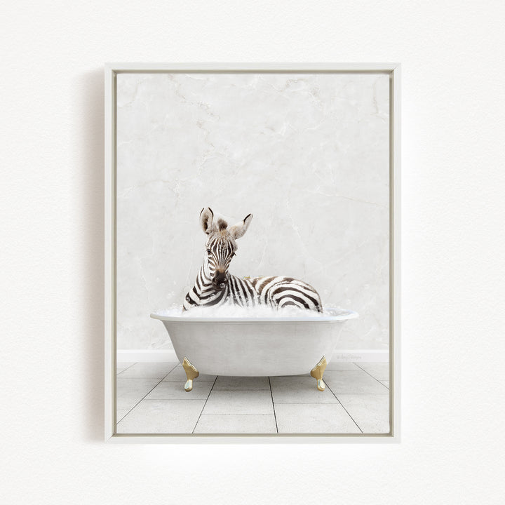 A zebra is sitting in a white bathtub against a white marble wall.