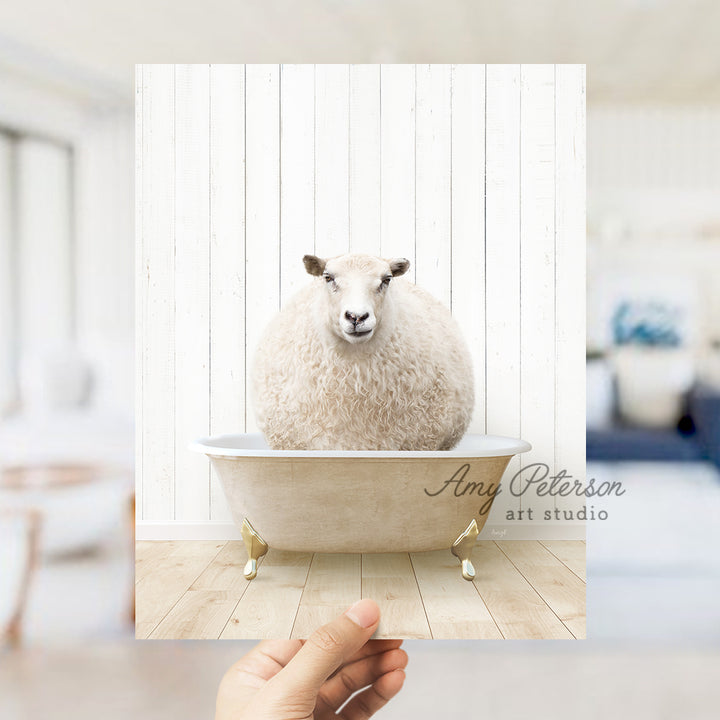 a hand holding a photo of a sheep in a bathtub