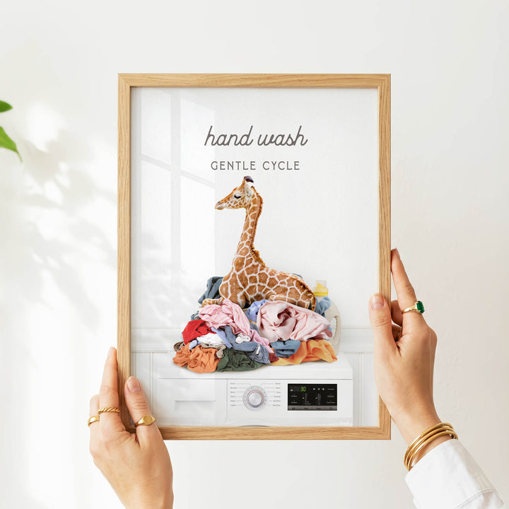 A person's hands holding a framed image of a giraffe sitting on a pile of laundry, with the text "hand wash gentle cycle" written above the image.