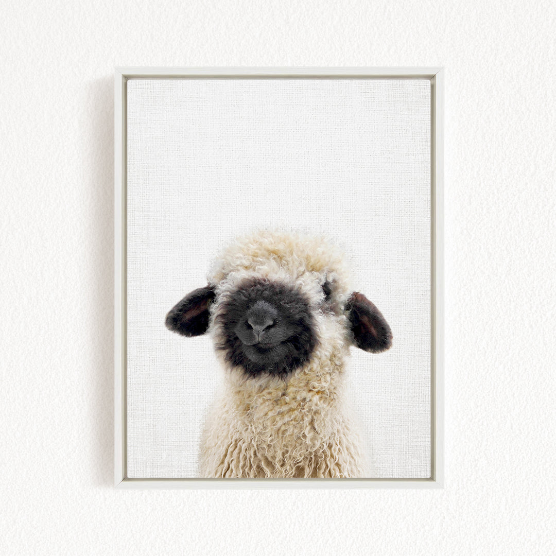 A fluffy white sheep with black markings on its ears and nose is the main subject of the framed image.
