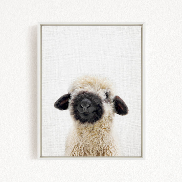 A fluffy white sheep with black markings on its ears and nose is the main subject of the framed image.