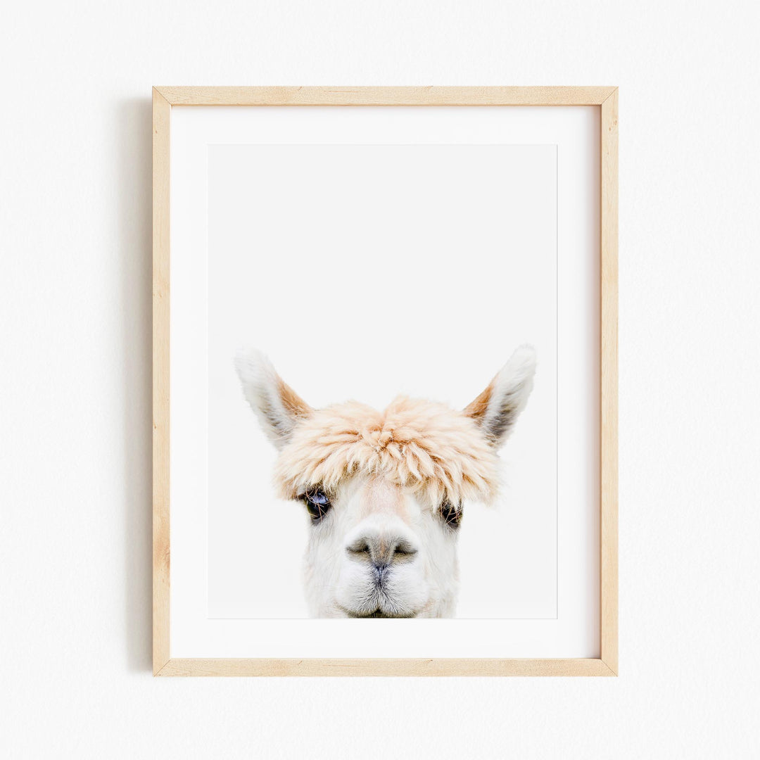 a picture of a llama's face in a wooden frame