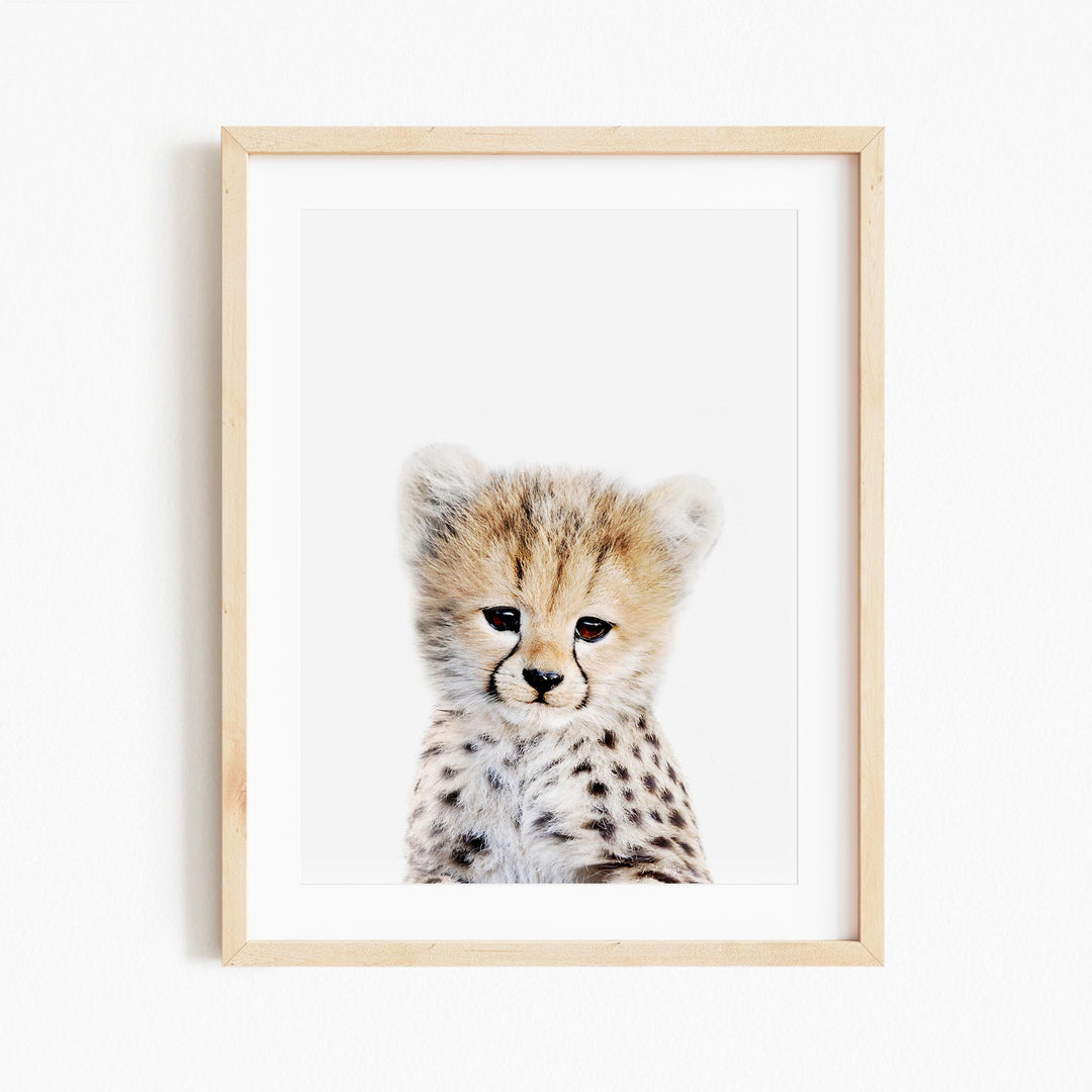 a framed photograph of a cheetah cub