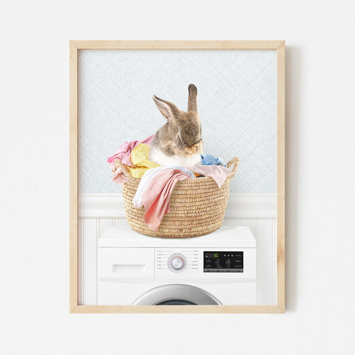 a rabbit sitting in a laundry basket on top of a washing machine