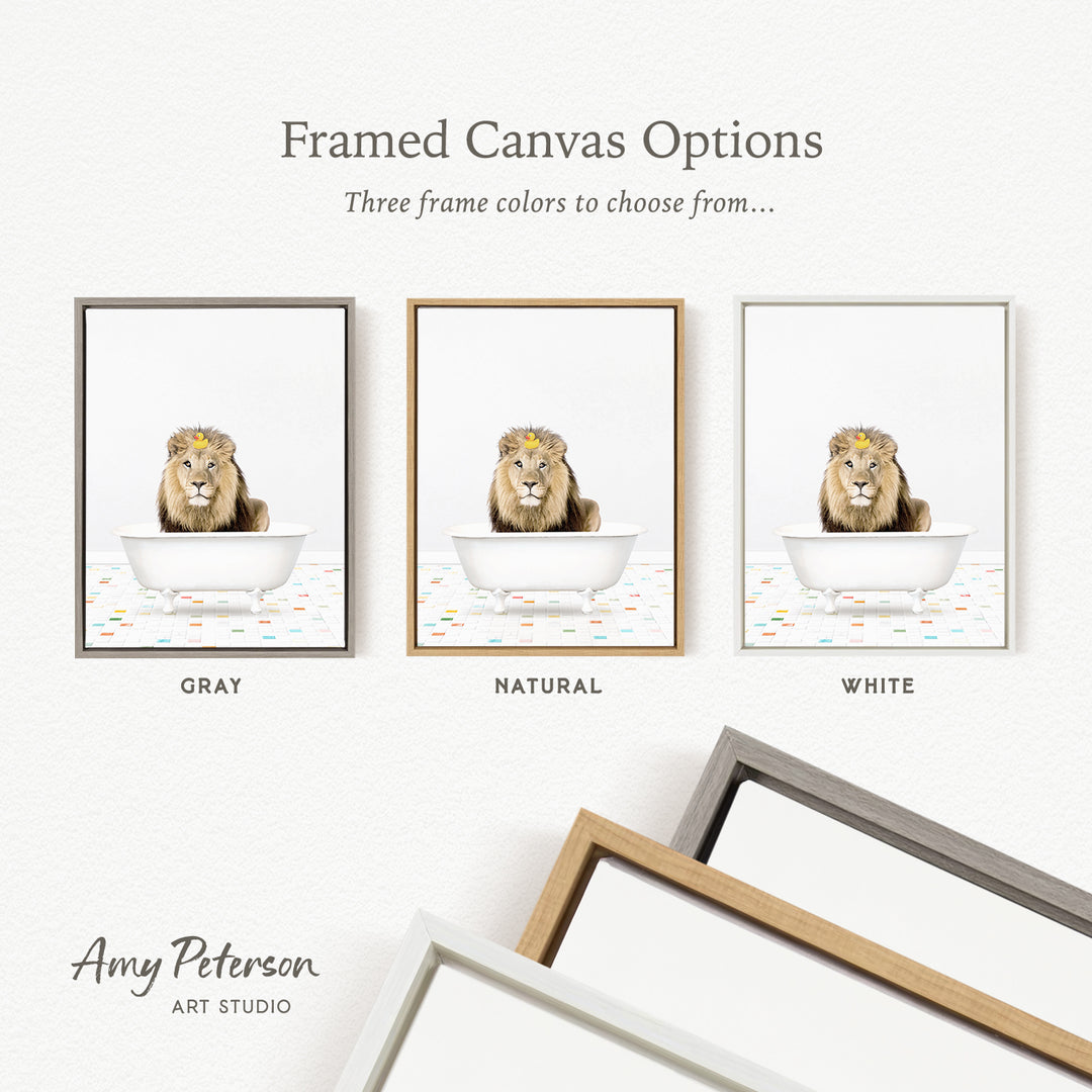 three framed canvas options, each featuring a lion sitting in a bathtub. The options include a gray frame, a natural frame, and a white frame.