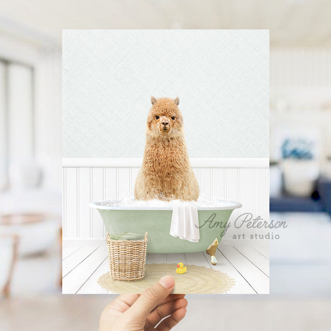 a hand holding a card with a dog in a bathtub