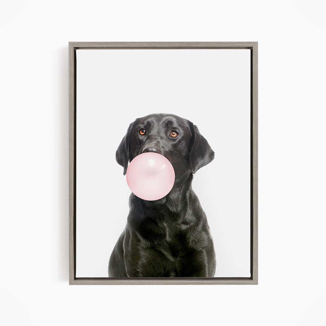 A black dog is blowing a pink bubble with its mouth, creating a playful and adorable scene.