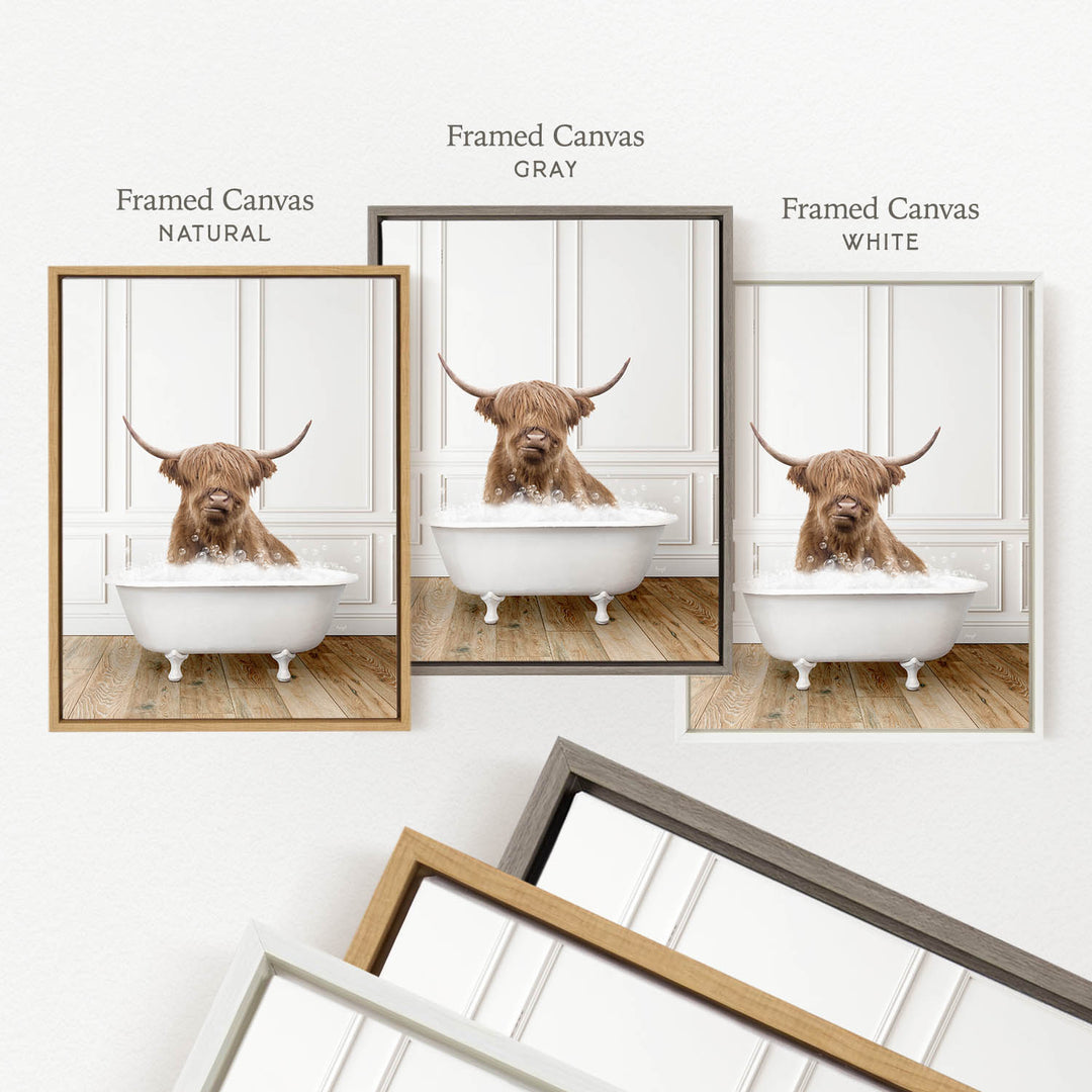 a brown cow with horns sitting in a white bathtub, with three different framed versions of the image displayed on a wall.