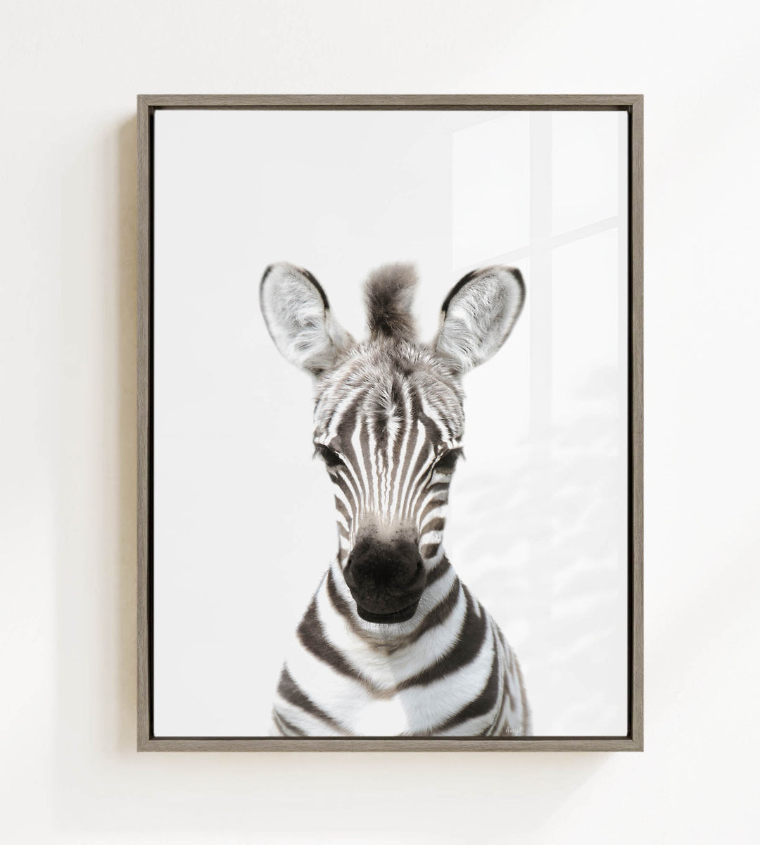 A zebra with its distinctive black and white stripes is the focus of the image, captured in a close-up portrait.