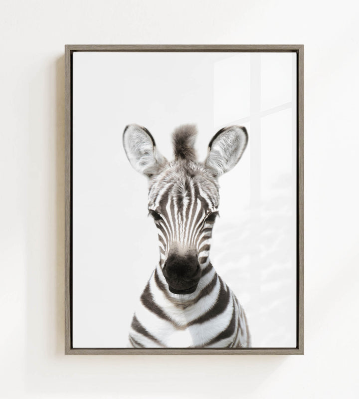 A zebra with its distinctive black and white stripes is the focus of the image, captured in a close-up portrait.