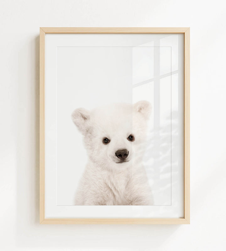 A cute white polar bear cub is the focus of the framed photograph, which is hung on a white wall.