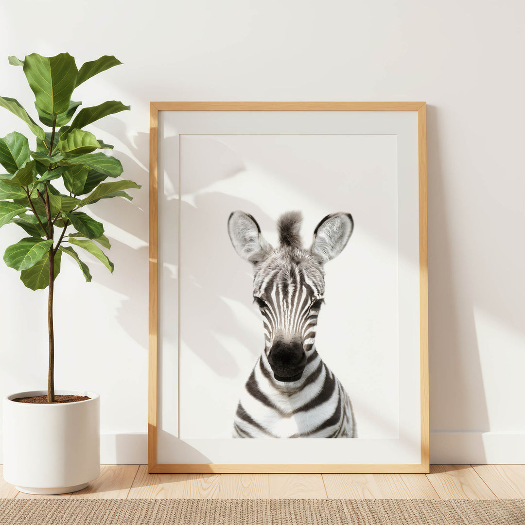 a zebra with its head turned to the side, framed in a wooden frame and placed on a white wall next to a potted plant.