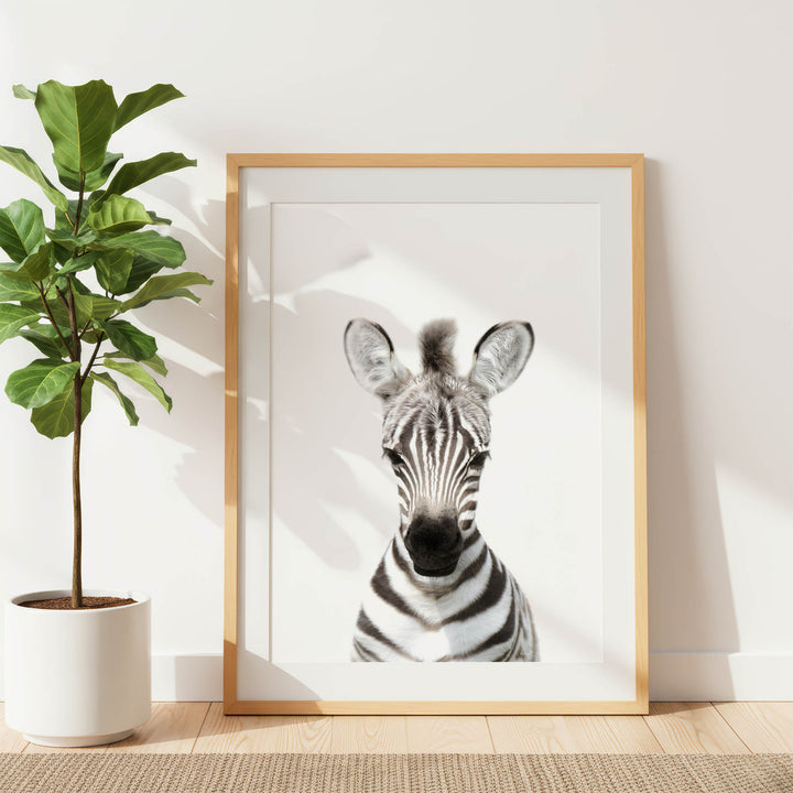 a zebra with its head turned to the side, framed in a wooden frame and placed on a white wall next to a potted plant.