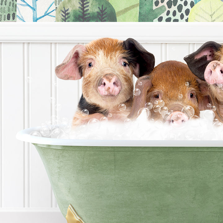 a group of three pigs sitting in a bath tub