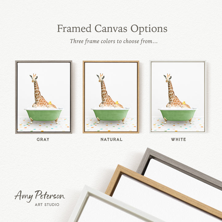 three framed canvas options featuring a giraffe sitting in a bathtub, with each frame having a different color.