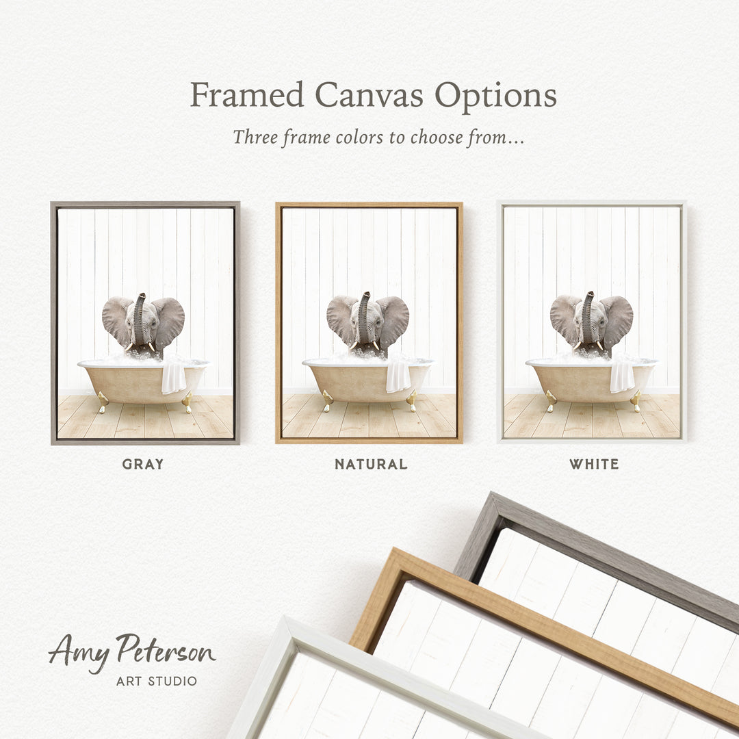 three framed canvas options, each featuring a different color: gray, natural, and white. The text above the images reads " Framed Canvas Options" and "Three frame colors to choose from...". The text below the images reads "Grays", "Naturals", and "Whites". The artist's name, Amy Peterson, is also mentioned at the bottom of the image.