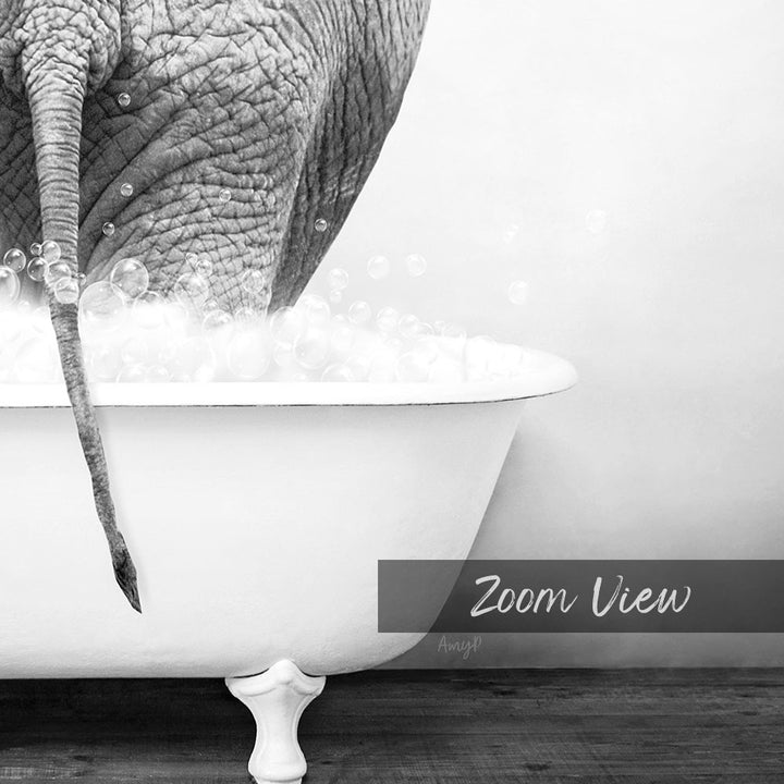 A close-up black and white image of an elephant standing in a bathtub filled with bubbles, with the text "Zoom View" overlaid on the image.