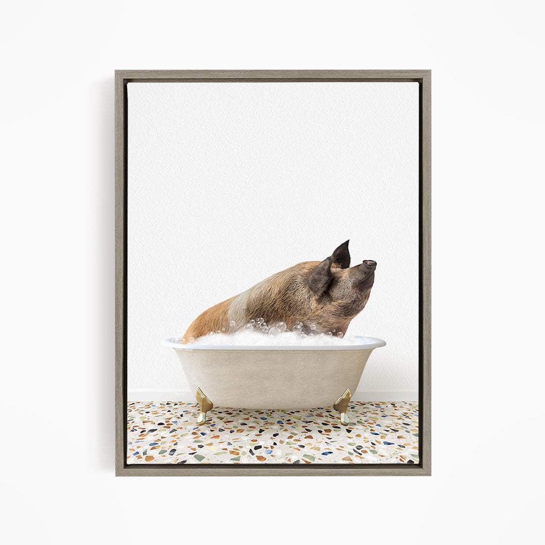 A brown pig sitting in a white bathtub filled with water, looking up at the camera.