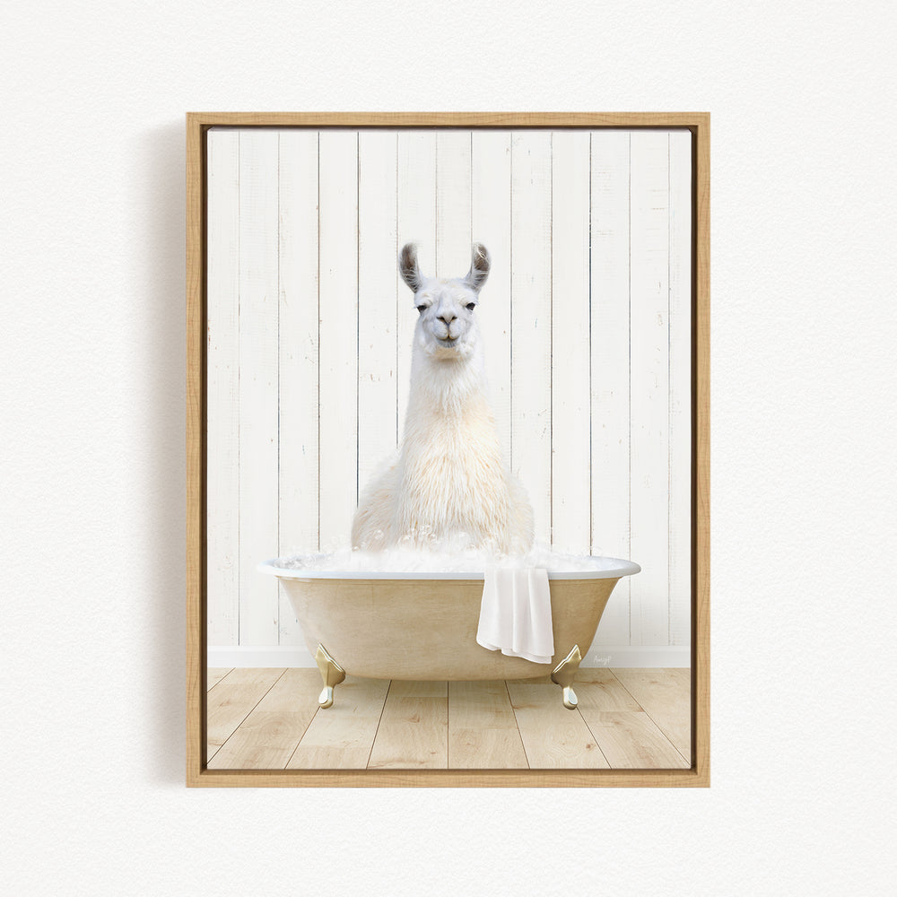 A white llama sitting in a bathtub filled with water, with a towel hanging on the side of the tub.